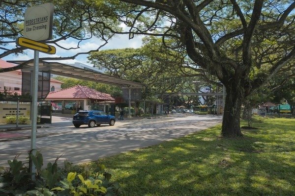 Street with lots of trees