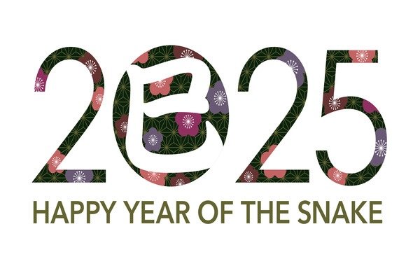 2025 Poster