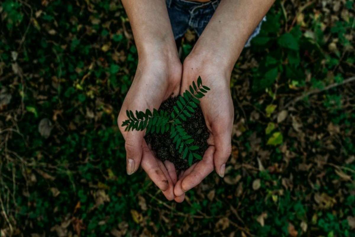 Hands holding a young plant in soil, representing sustainable investing and long-term environmental impact.