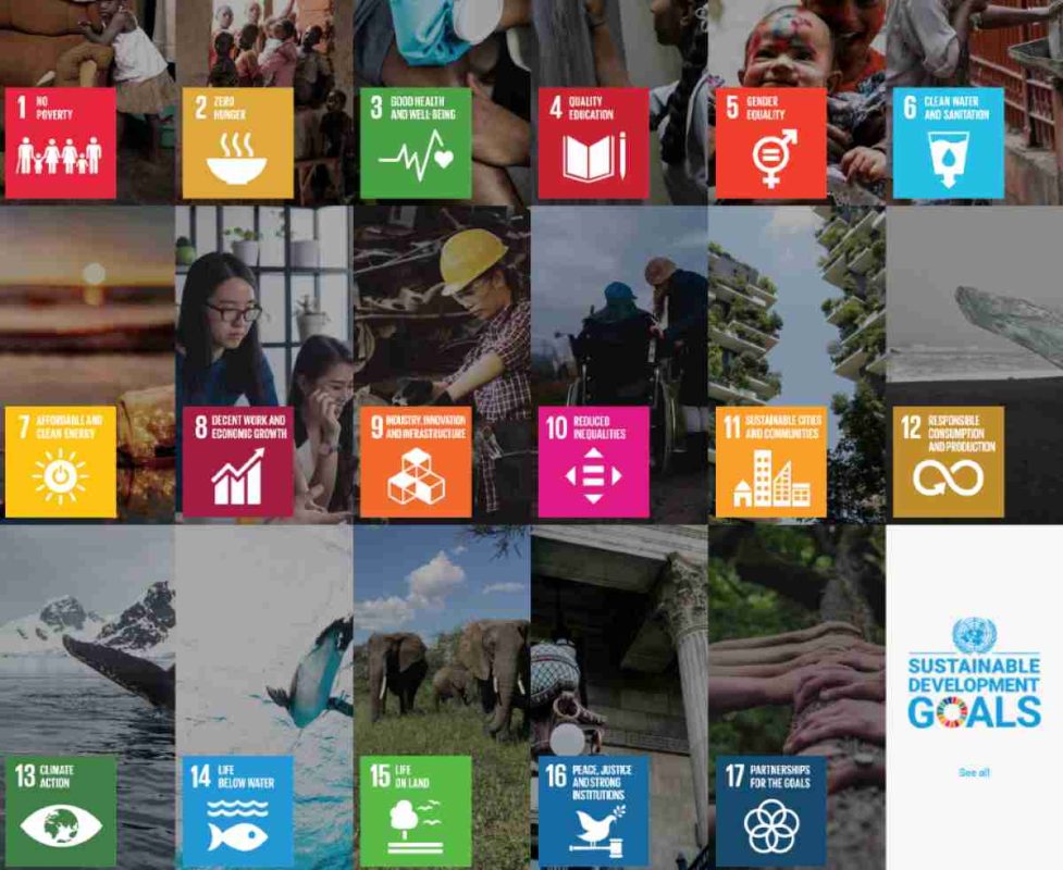 United Nations Sustainable Development Goals infographic illustrating the principles of sustainable investing and ESG priorities.