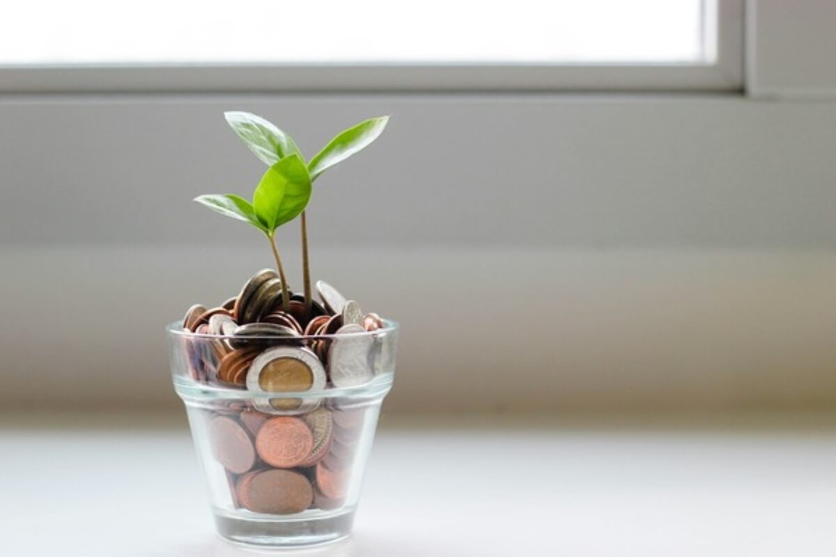 Young plant growing from a cup of coins, symbolising long-term investing to make your child a millionaire.