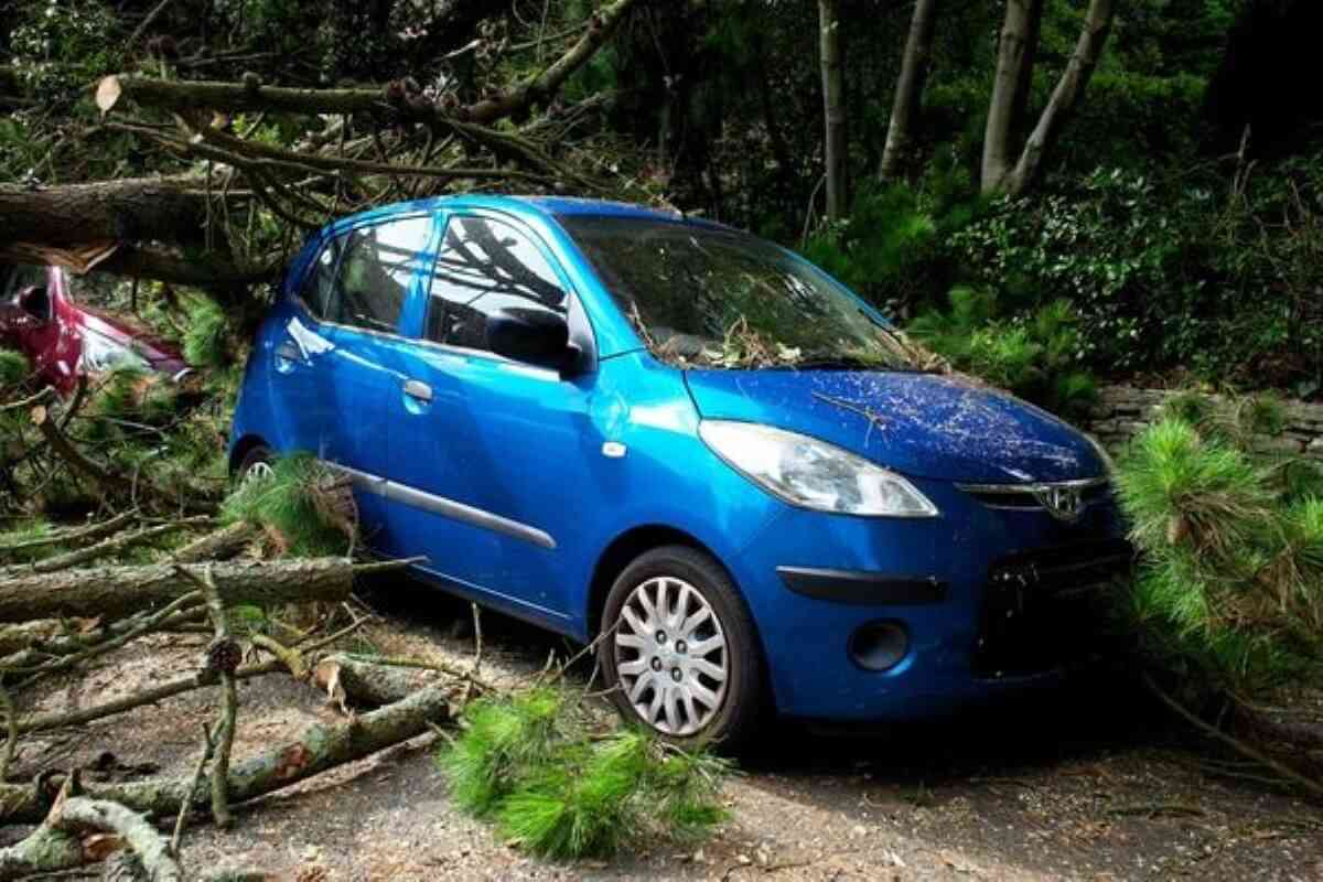 Blue car damaged by a fallen tree after a storm, highlighting why Singapore car insurance protects against unexpected damage.