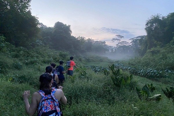 A photo of Clementi Forest