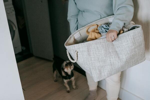 A photo of a person holding a bag of clothes with a dog beside the person