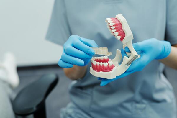 Person holding a dental teeth model