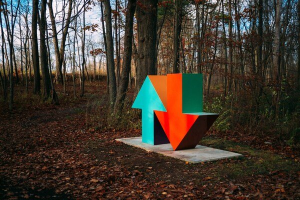 Red and blue arrow signs in the middle of the woods