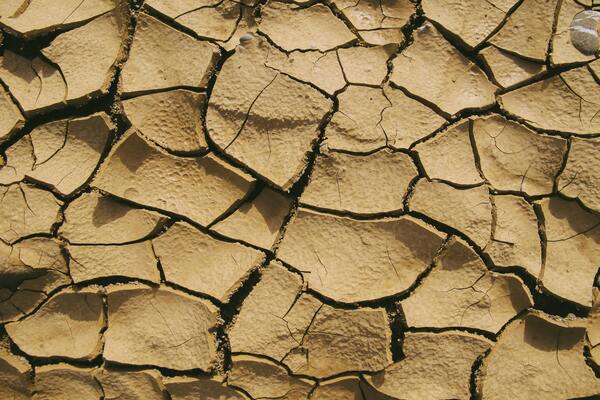 Close-up of dry, cracked soil showing rough texture and patterns.