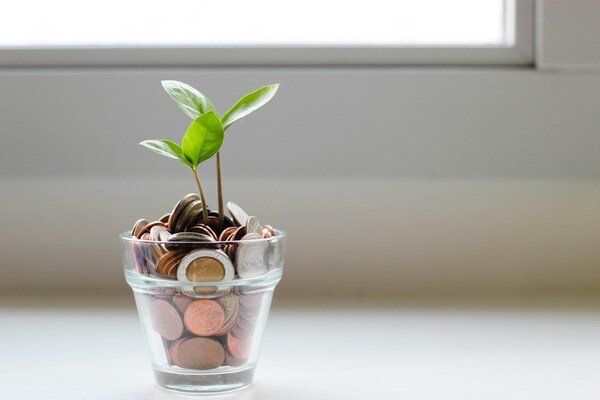 Green plant placed in a clear glass cup with stacked up coins