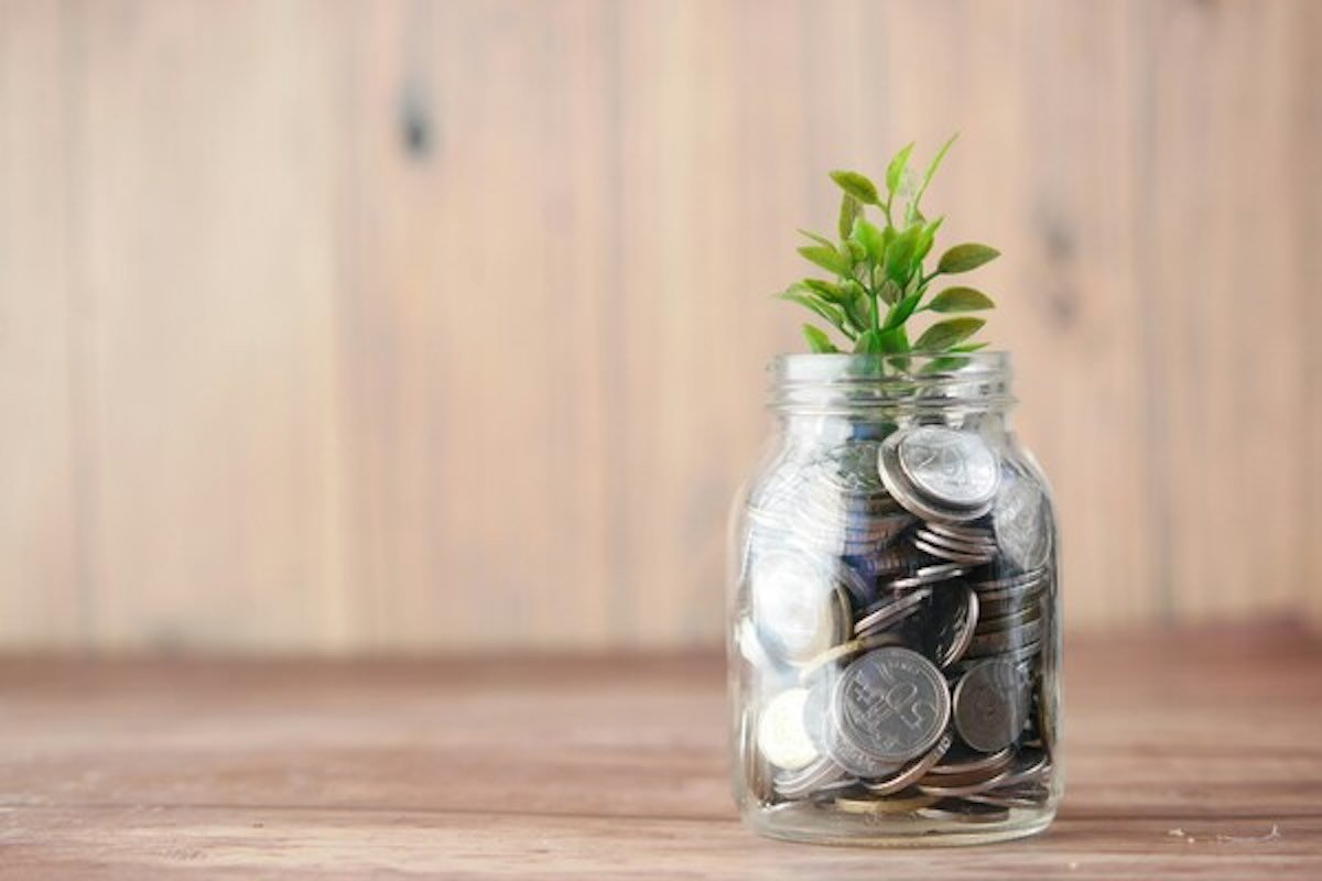 Coins and a growing plant symbolising sustainable investing and how to spot greenwashing in financial products.