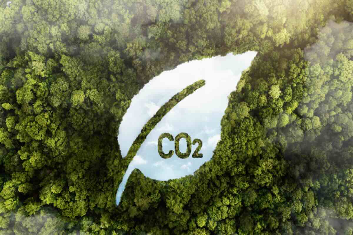CO2 leaf symbol over a forest, highlighting environmental claims when learning how to spot greenwashing in financial products.