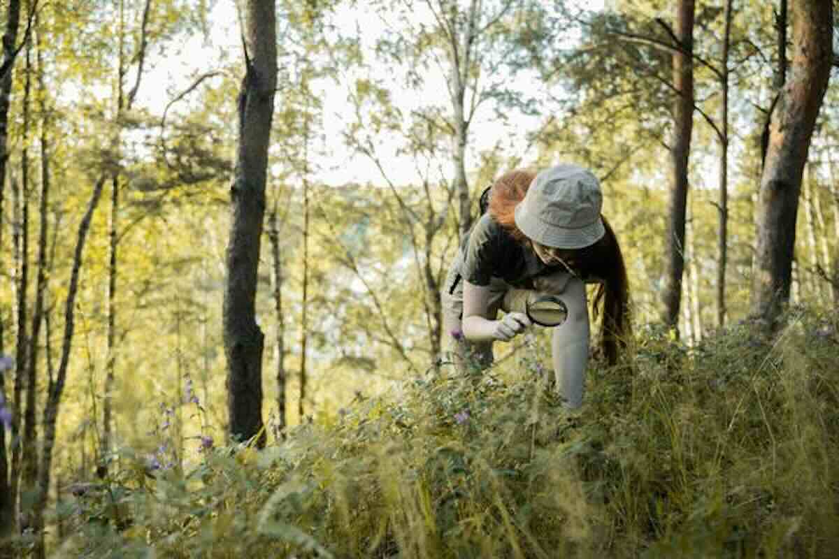 Researcher examining forest plants with a magnifying glass, representing careful checks to spot greenwashing in financial products.