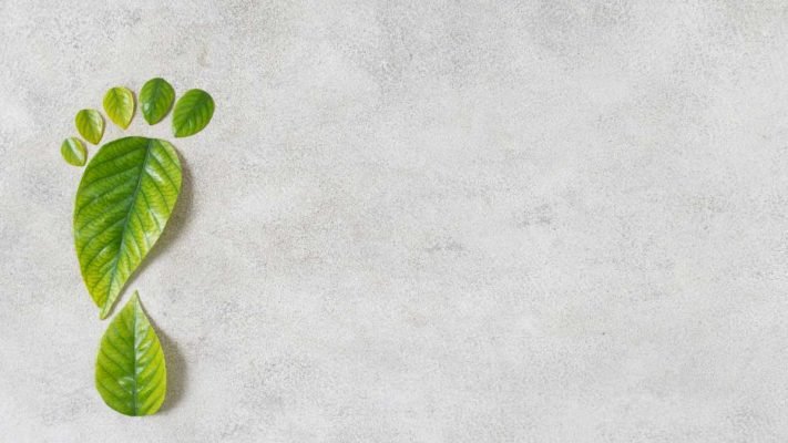 Green leaves shaped like a footprint representing low carbon investing and sustainable investment choices.
