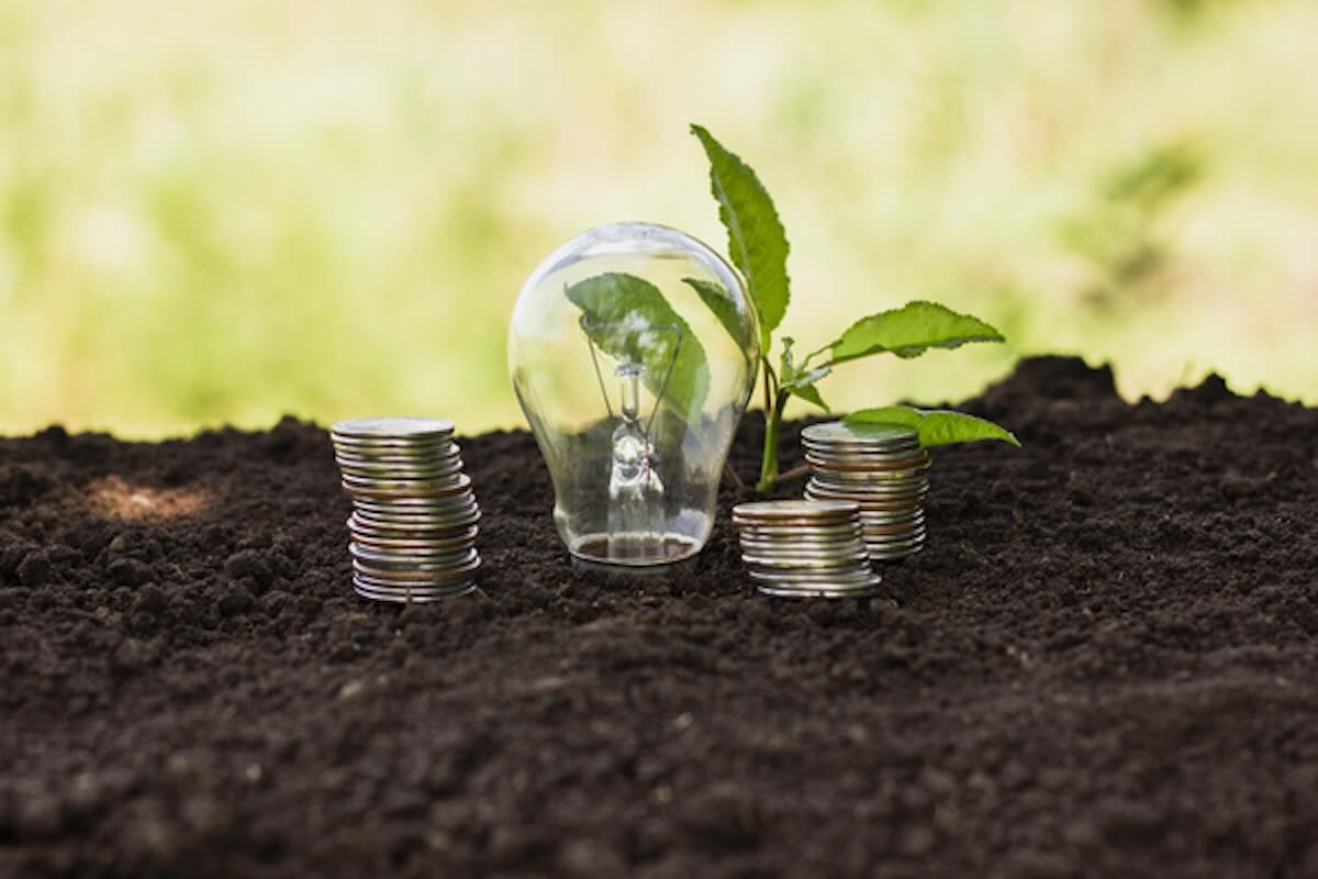 Plant growing beside coins and a light bulb symbolising low carbon investing and sustainable financial growth.