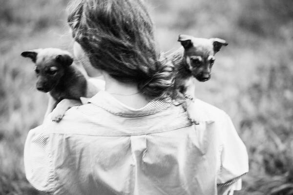 Woman holding two puppies in her arms