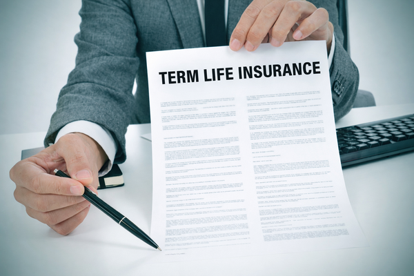 Business professional holding a term life insurance policy document for financial protection planning.