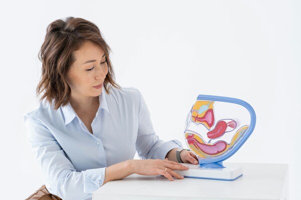 Doctor explaining a female reproductive system model, illustrating fertility education, egg freezing, and IVF treatment options.