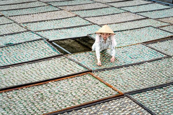 Worker wearing a traditional hat arranging drying mats outdoors in a large-scale agricultural setting.